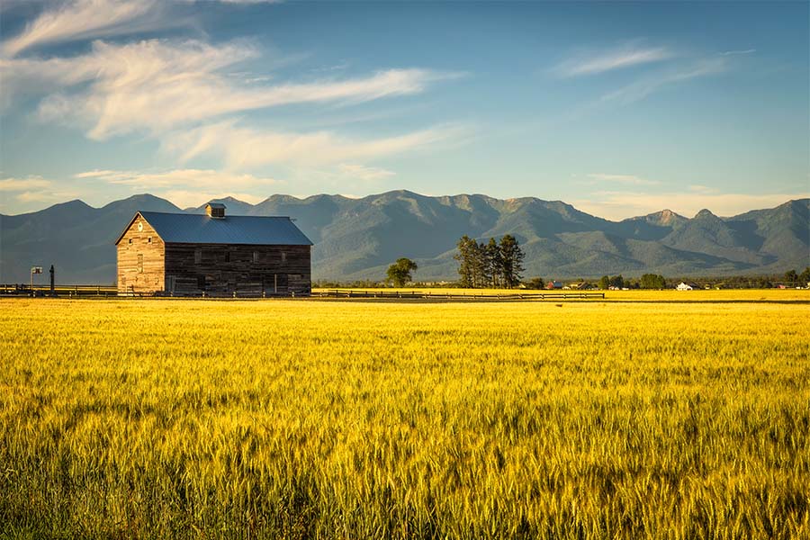 Contact - Scenic View of a Rustic Barn Surrounded by Green Grass with Views of the Mountains in the Background at Sunset