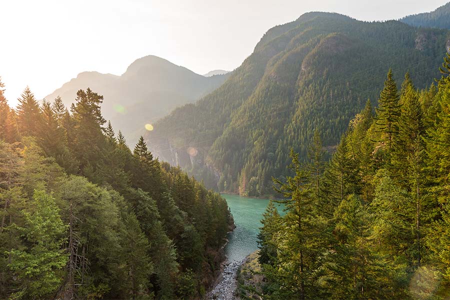 Contact - Scenic View of Green Trees and Mountains Surrounding a Clear River in Washington State at Sunset